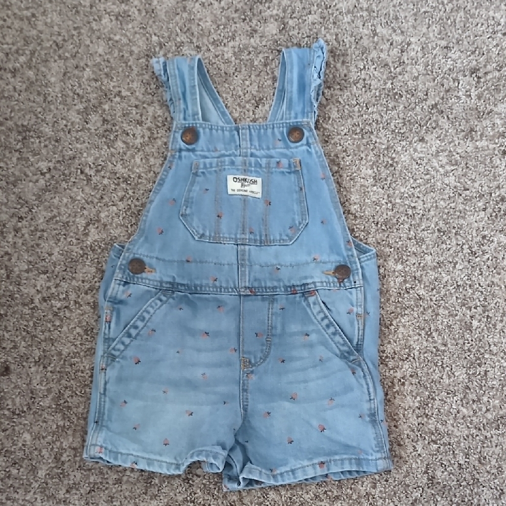 OshKosh B'gosh Light Blue Floral Overalls